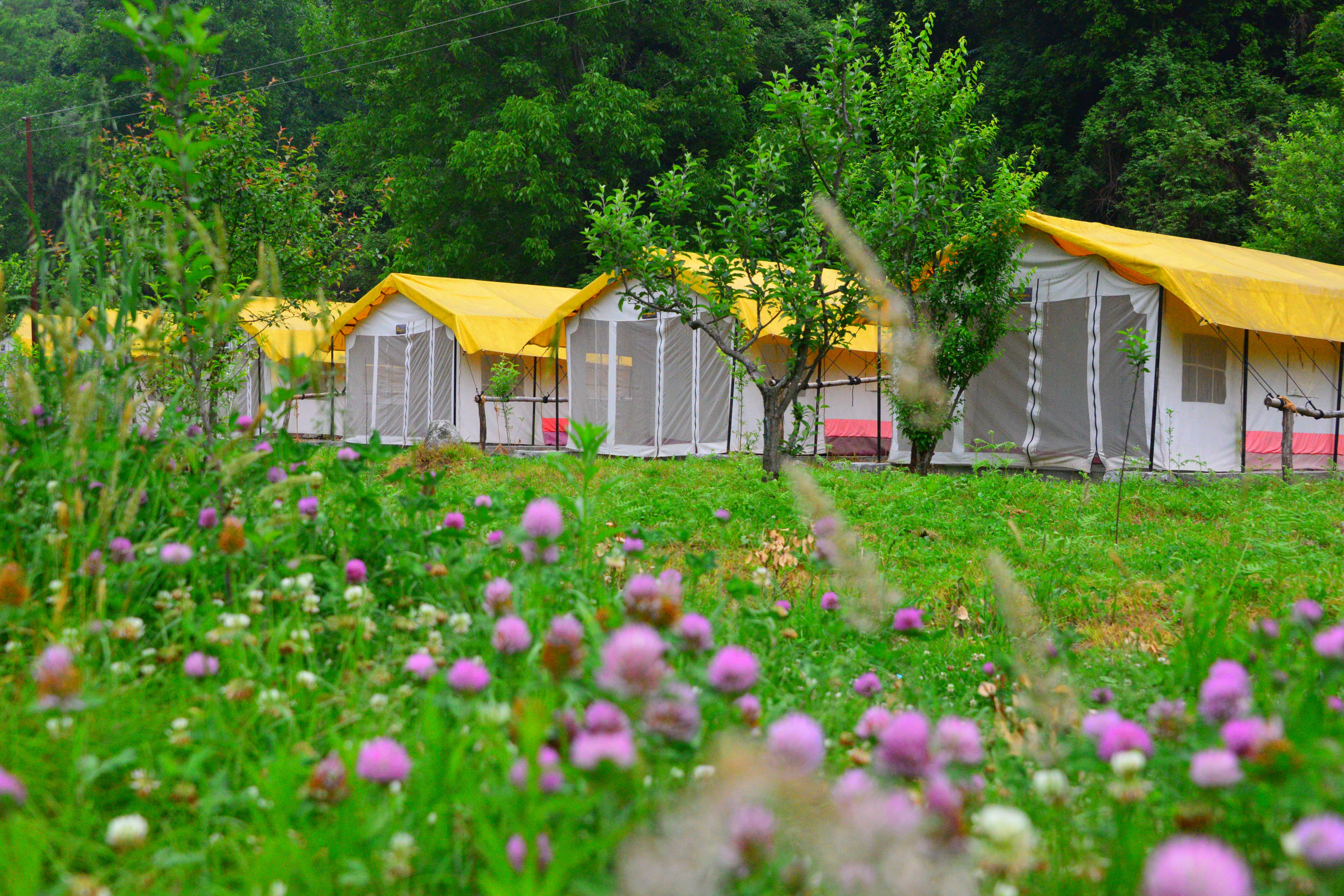 Into Wild Himalaya Camps, Manali and Tirthan Valley