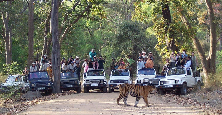 Jeep safari in india #4