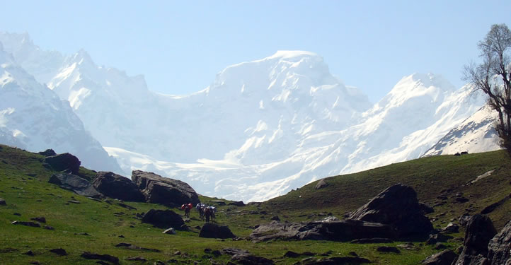 Deo Tibba Base Camp to Dhauladhar Range Trek