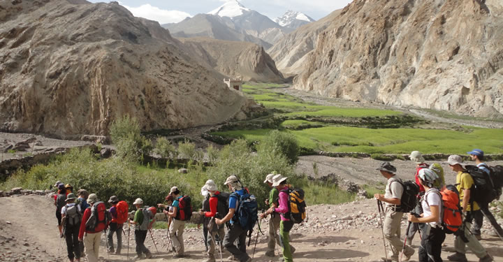 In The Markha Valley Trek