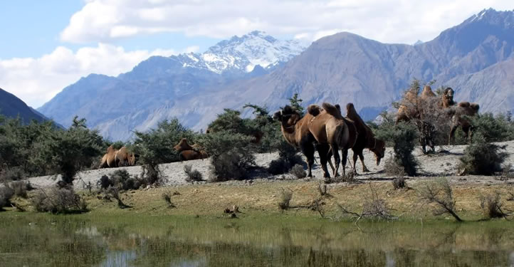  INDUS TO NUBRA VALLEY CULTURAL TOUR