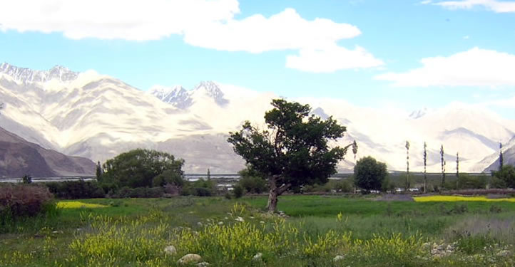 Indus to Nubra Valley Trek