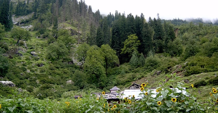 Pin Parvati Valley Trek